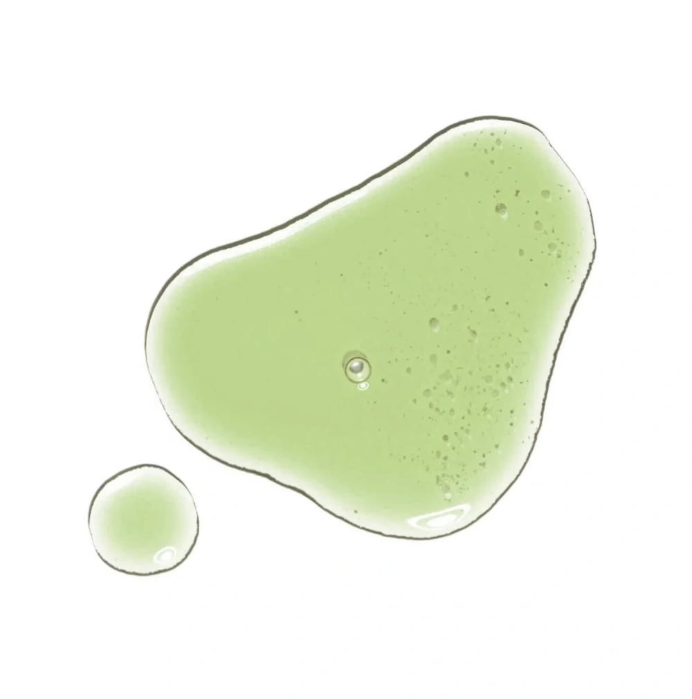 Serum Antirid cu Acid Hyaluronic 2% & Castravete, Toate Tipurile de Ten, 15 ml